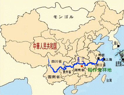 長江周辺地図